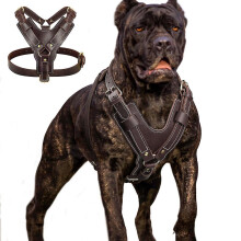 (L:Chest 62-80cm) Leather Big Dog Harness Adjustable Training Vest Pitbull Rottweiler Boxer