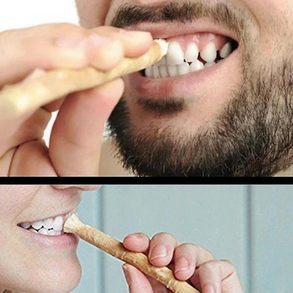 Miswak Tooth Stick Twig Toothbrush Ancient Method Of Cleaning Teeth Authentic Arabian Plants