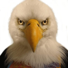 White Eagle Mask - Realistic Latex Eagle Head, Closed/Open Mouth, Party Prop Mask