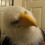 White Eagle Mask - Realistic Latex Eagle Head, Closed/Open Mouth, Party Prop Mask 2