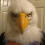 White Eagle Mask - Realistic Latex Eagle Head, Closed/Open Mouth, Party Prop Mask 4