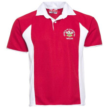 (Red, 3XL) Men's Wales Rugby Grand Slam Winners Jersey