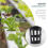 100 Pack Net Cups Slotted Mesh Wide Lip Filter Plant Net Pot 3