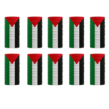 Lot de 10 masques de sport coupe-vent avec drapeau de la Palestine pour moto, écharpe d'équitation en plein air 50 x 25 cm