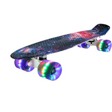 Mini Cruiser Skateboard 22palcový Fish Board Detská kolobežka Longboard Penny Skate pre začiatočníkov tínedžerov()