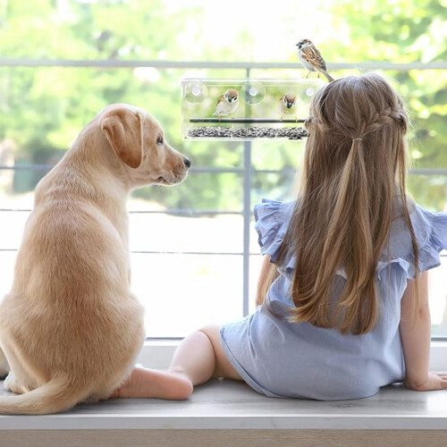 Window bird feeder, wild bird feeder, transparent window bird feeder 2