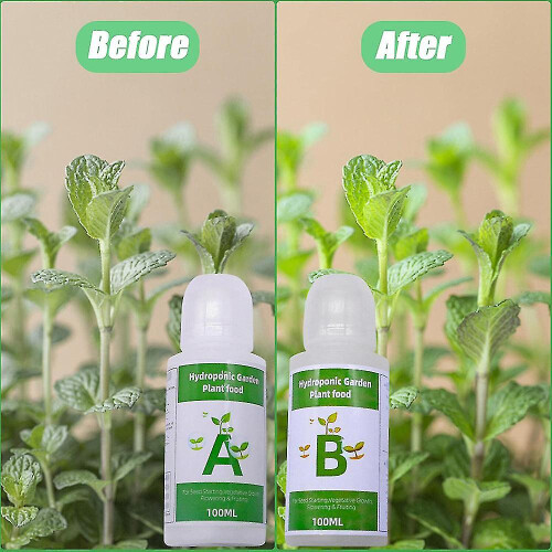 A b Two Part Set Liquid Hydroponic Nutrients Promote Absorption Efficiency Suitable For Tomatoes 2