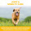 Vetzyme (90 Tablets) Vetzyme Flexible Joint Supplements for Dogs 6