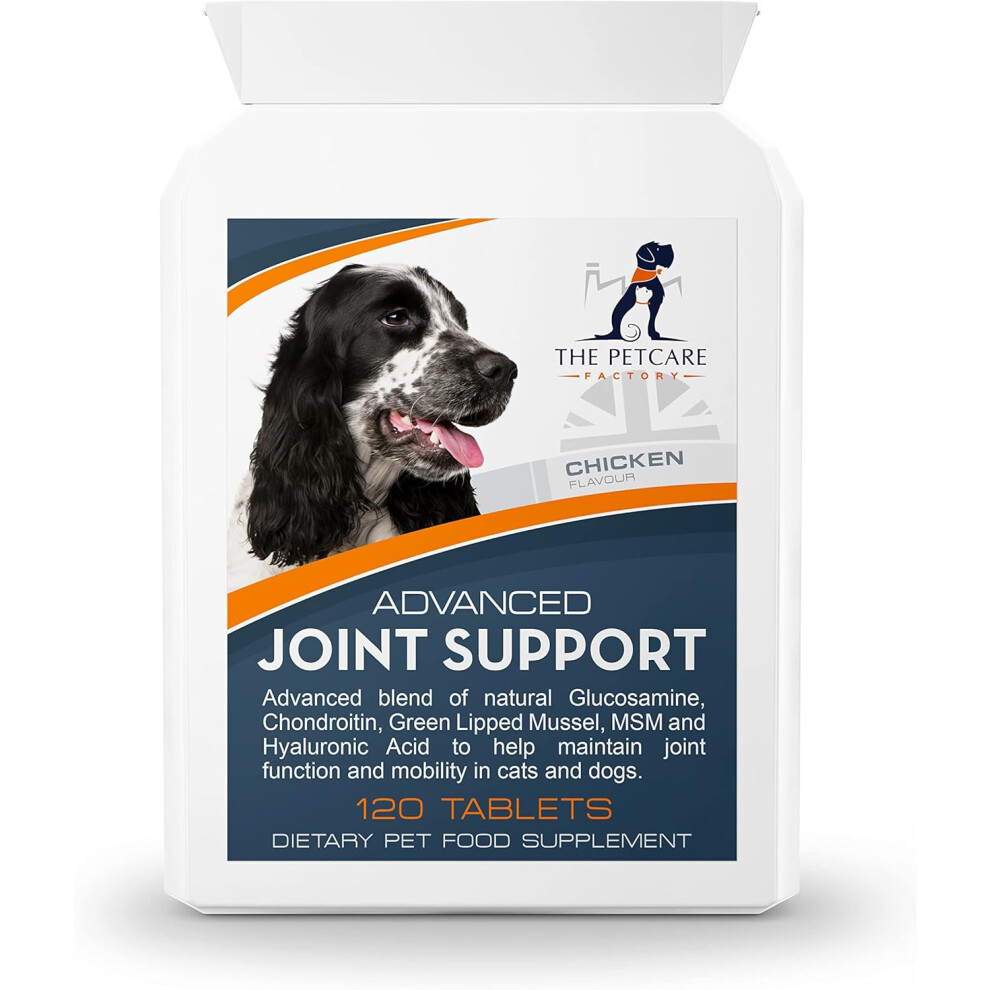 Advanced Joint Support Supplement For Dogs, With Powerful Glucosamine