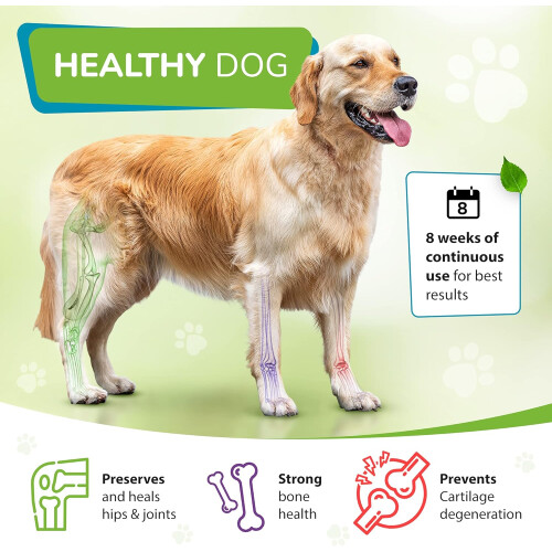 (Triple Strength) Joint Supplements for Dog Supplements 2