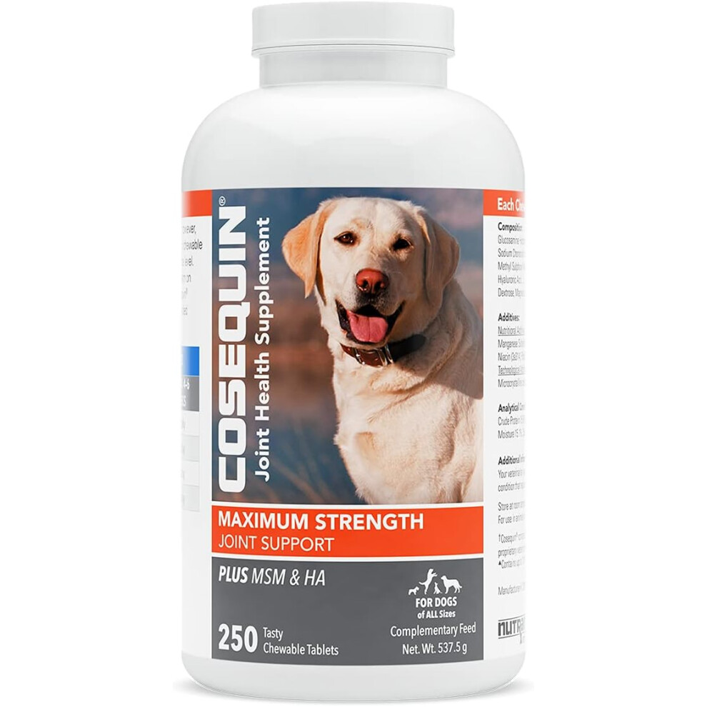 Photos - Other for Dogs  Nutramax - COSEQUIN Joint Health Supplement for dogs(250 count)