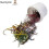 VITRIGRAPH TOP-LOADED KILN 1100C GLASS STRINGS OR OTHER GLASS PROJECTS 2