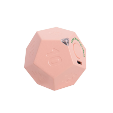 Mini Rotate Dodecagon Oplaadbaar Geluid Trillen Licht Alarm Flip Countdown voor Timemanager Roze