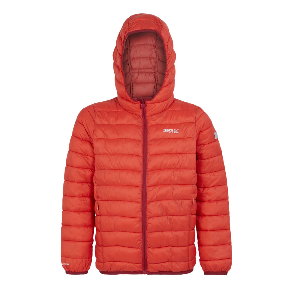 (15-16 Years, Red Sky/Mineral Red) Regatta Childrens/Kids Marizion Hooded Padded Jacket