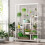 Tribesigns Tribesigns Flower Stand 5 ripiani per piante con 10 ganci a S 4