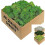 Preserved Natural Moss - Crafts, Decorative Easter Ornaments 1