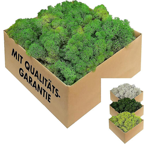Preserved Natural Moss - Crafts, Decorative Easter Ornaments
