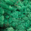 Preserved Natural Moss - Crafts, Decorative Easter Ornaments 5