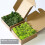 Preserved Natural Moss - Crafts, Decorative Easter Ornaments 2