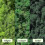 Preserved Natural Moss - Crafts, Decorative Easter Ornaments 4