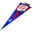 New York Giants Classic Felt Pennant 5
