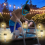 6PCS Solar Pool Light Waterproof LED For Swimming pool 5