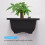 15 PCS 4.7 Inch Flower Pot,Bonsai Training Pot, for Garden, Interior 4