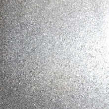Sequin Sparkle Silver sw9