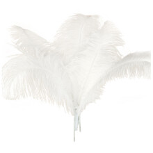 10 Stück Straußenfedern Weiß 45-50 cm - Hochzeitsdeko, elegante Feder-Dekoration