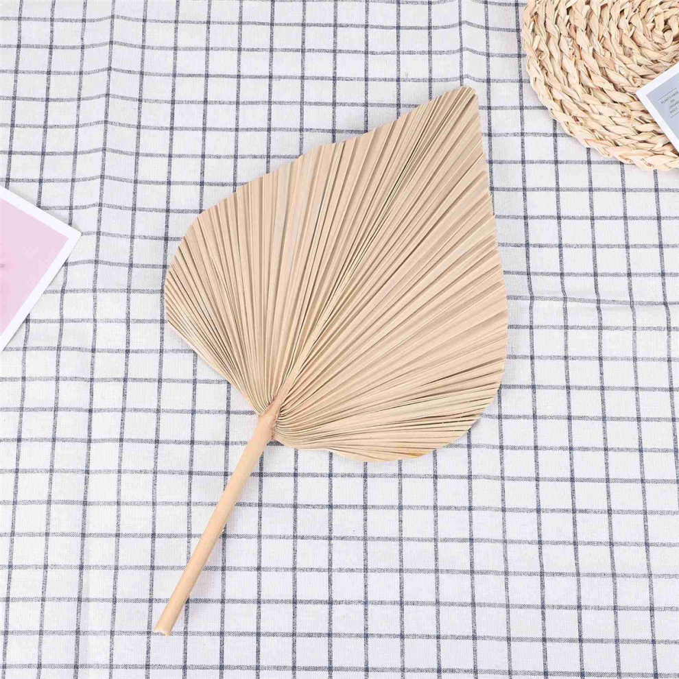 DecoracióN De HabitacióN Con Hojas De Palma Secas, 5 Piezas, 18 Pulgadas De Alto X 10 Pulgadas De Ancho, Hoja De Palma-image