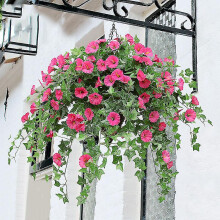 Jsir Hanging Basket With Artificial Vine Silk Petunia Flowers For Outdoor/indoorwithout Basket Jsir