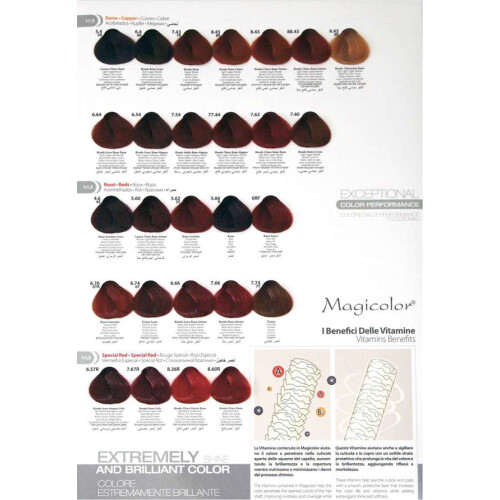 MagiColor Professional Μόνιμο χρώμα κρέμας 100ml Sandy Blonde (12.4) 2