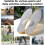 (Size 41-42) Supination Insoles For Over Supination 4