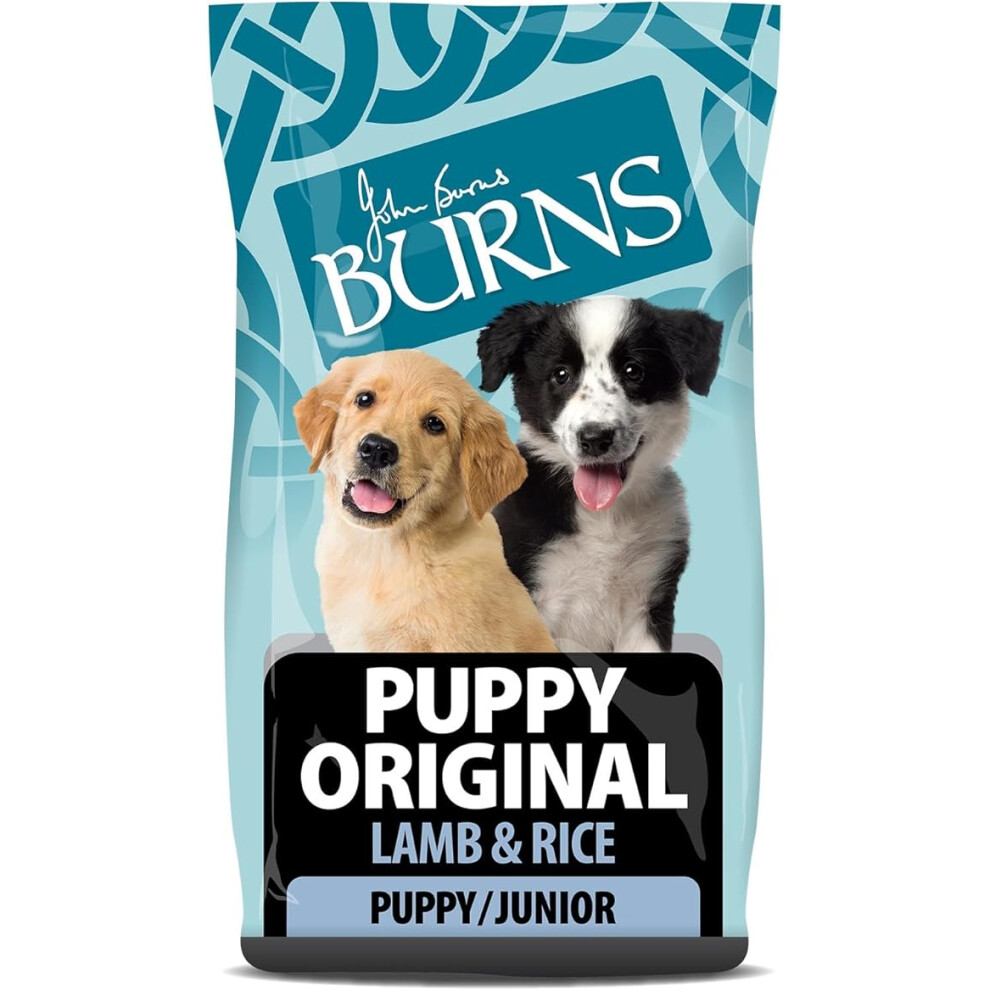 Burns Pet Nutrition Hypoallergenic Complete Dry Dog Food Puppy Original Lamb And Rice 2 Kg