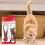 Beaphar Beaphar Soft Cat Flea Collar Repels Fleas Up To 8 Weeks Protection 6