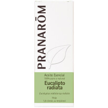 Pranarom Ätherisches Öl Eucalyptus Radiata 10ml