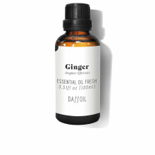 Öle und Essenzen ÄTHERISCHES ÖL frischer Ingwer 100 ml