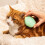 Tangle Teezer Brush Tangle Teezer   Pets Green 3