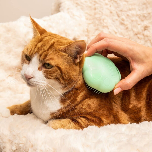 Tangle Teezer Brush Tangle Teezer   Pets Green 2