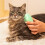 Tangle Teezer Brush Tangle Teezer   Pets Green 4