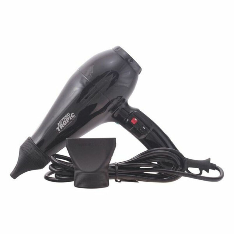 Artero Hairdryer 8.4333E+12