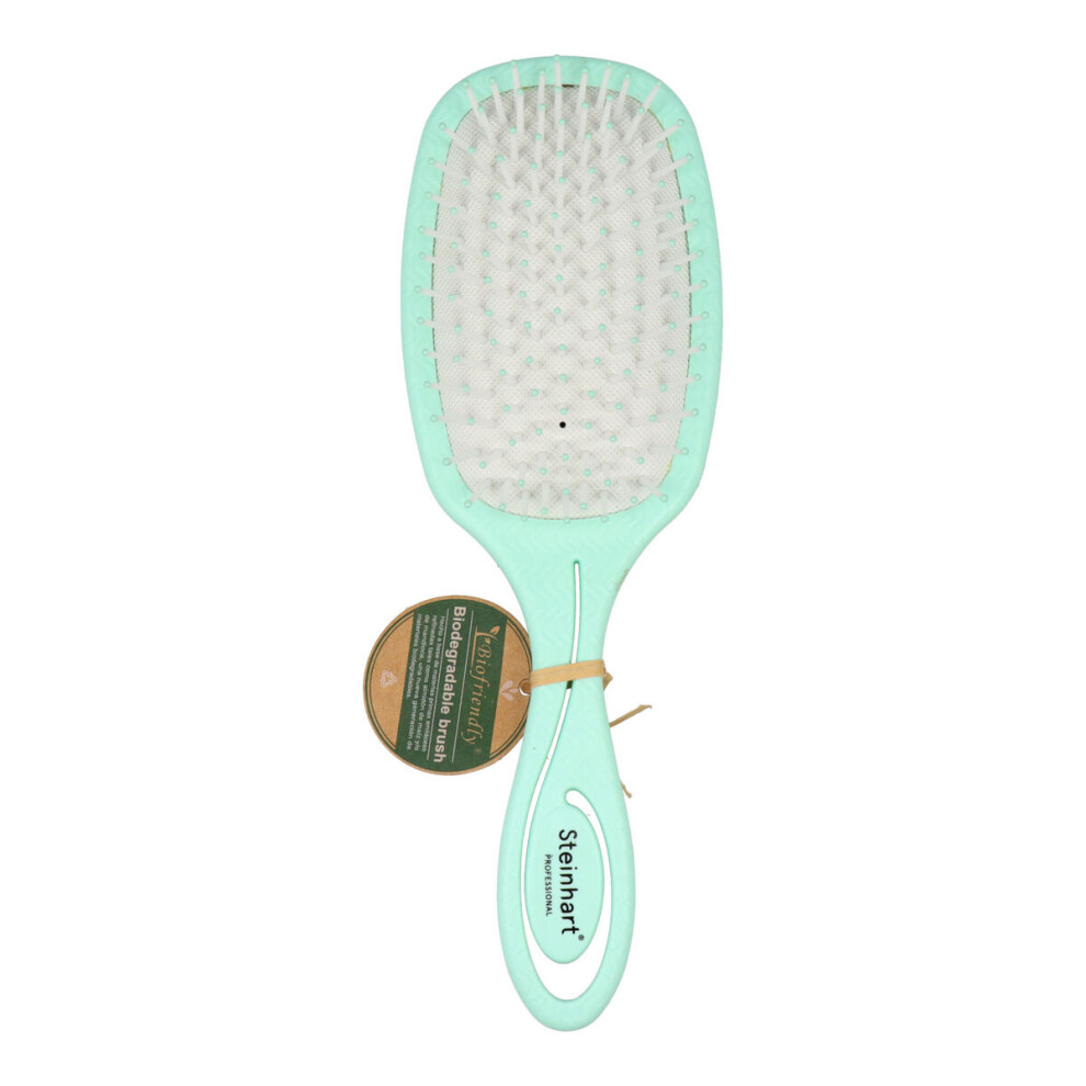 Steinhart Detangling Hairbrush Cepillos Aquamarine