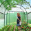 Outsunny Outsunny 3 x 2 x 2m Polytunnel Greenhouse with Doors and Mesh Windows 7