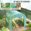 Outsunny Outsunny 3 x 3 x 2m Polytunnel Greenhouse with Doors and Mesh Windows 6