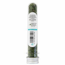 (2PCS) Organic 100% Natural High Quality Catnip Cattle Grass Mint Taste Funny Cat Toy New Cat Toy