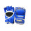 Tiger Claw Mma Mixed Fighting Gloves - Blue 3