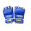 Tiger Claw Mma Mixed Fighting Gloves - Blue 4