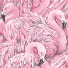 Rion Flamingo Wallpaper Pink Rasch 277890