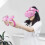 6 in 1 Adjustable Head Strap with Head Cushion for Oculus Quest 2 VR Accessories 2