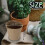 100Pcs Round Degradable Pulp Peat Flower Pot 8x8cm Plant Nursery Cup 5